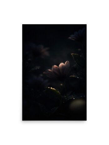 Midnight Spark Poster